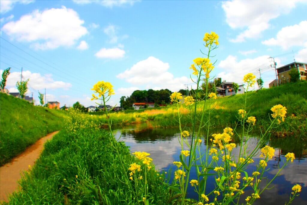 【千葉県流山市】着物買取業者10選！口コミやおすすめポイントは？
