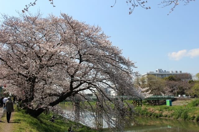 【越谷市】着物買取おすすめは？口コミ評価の良い10社まとめ