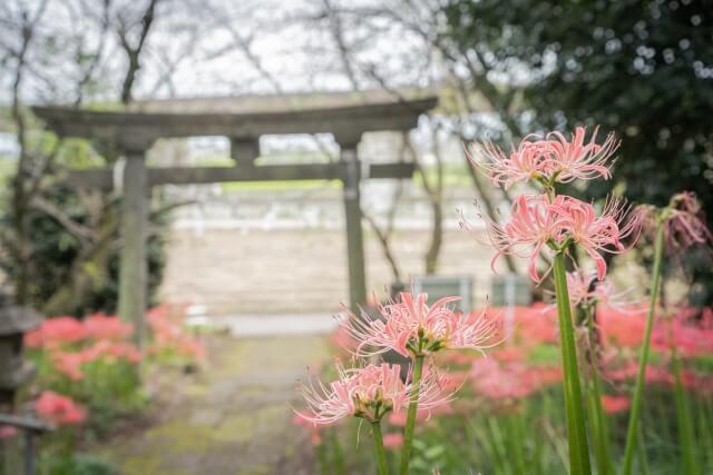 群馬県伊勢崎市の着物買取業者10選！口コミ評価が高いのはどこ？