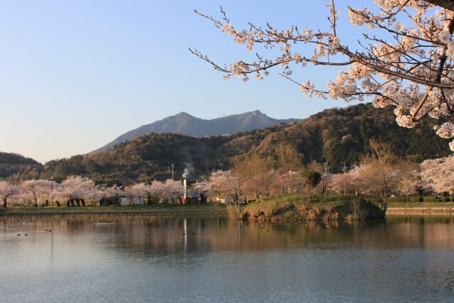 【つくば市】着物買取おすすめは？口コミ評価の高い10社比較