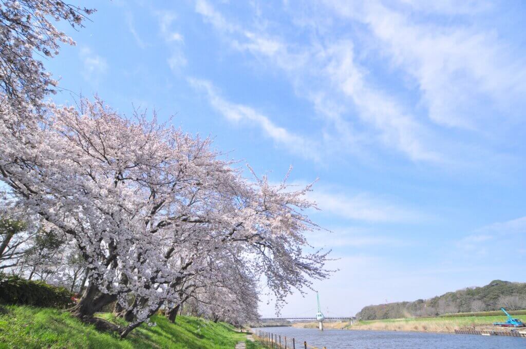 千葉県八千代市で高価買取の着物買取業者は？口コミ評価の高い10社