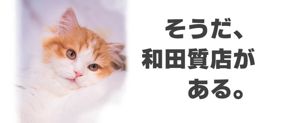 和田質店の画像