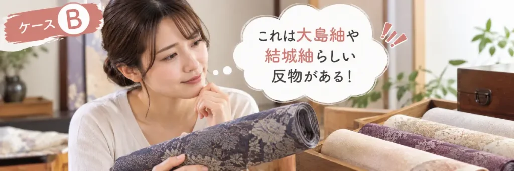大島紬や結城紬らしい反物を持つケースB