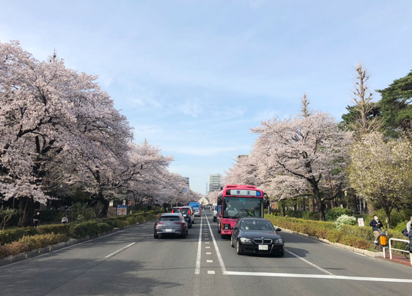 国立市の着物買取10選！口コミ・評判の良いおすすめ店を徹底比較