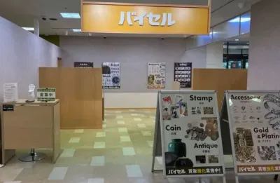 バイセルイオン南陽店